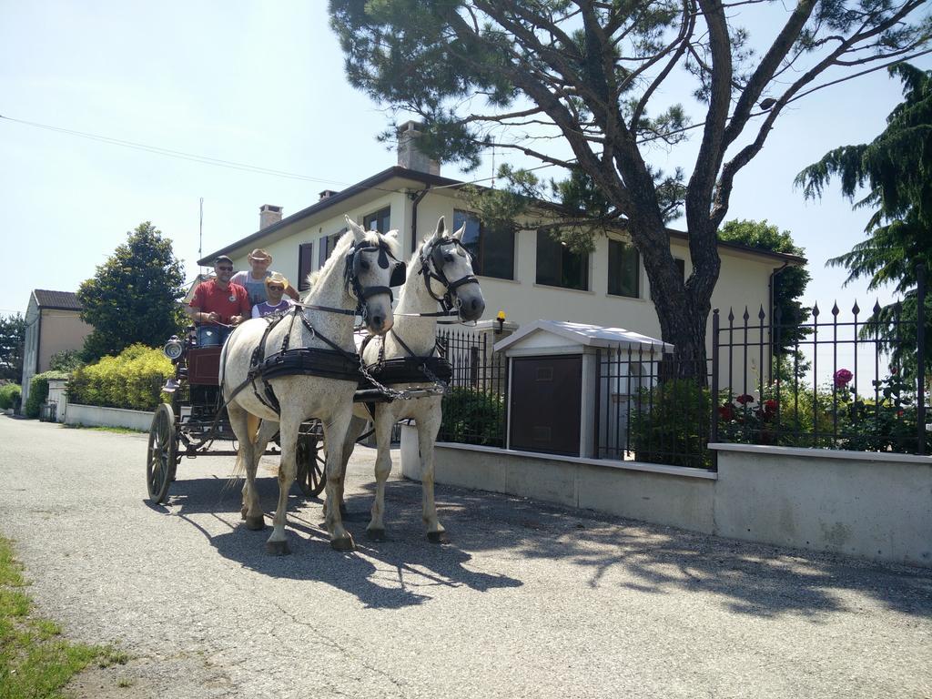 Hotel La Siesta Villafranca di Verona Exterior foto